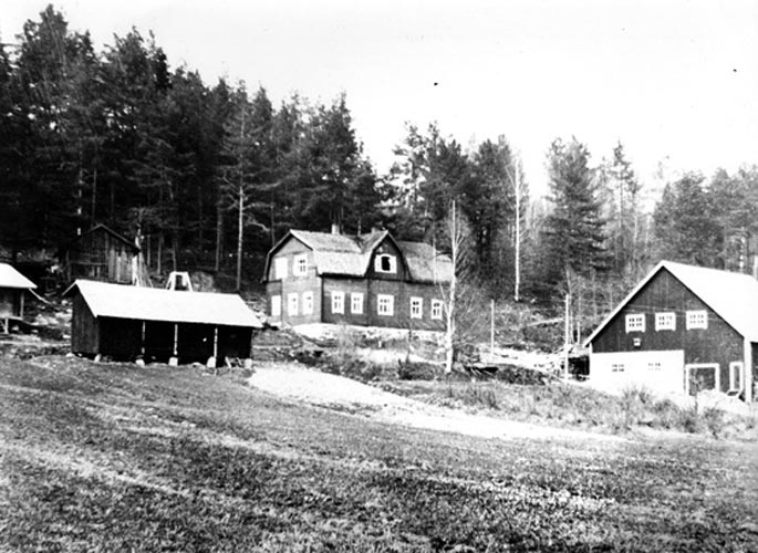 Jaakkiman Mikli Rengaslahti